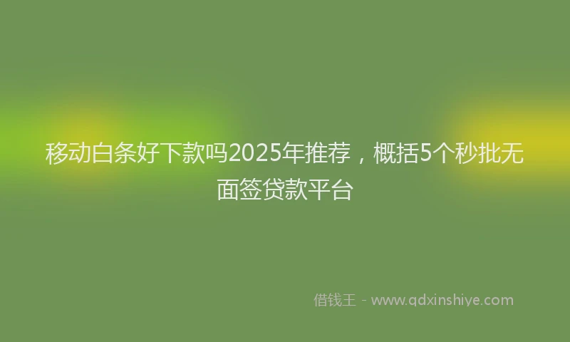 移动白条好下款吗2025年推荐，概括5个秒批无面签贷款平台