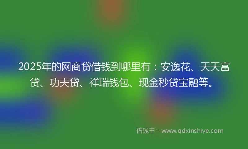2025年的网商贷借钱到哪里有：安逸花、天天富贷、功夫贷、祥瑞钱包、现金秒贷宝融等。