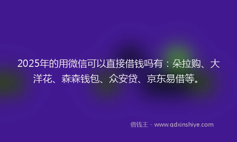 2025年的用微信可以直接借钱吗有：朵拉购、大洋花、森森钱包、众安贷、京东易借等。