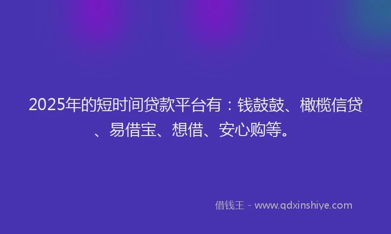 2025年的短时间贷款平台有：钱鼓鼓、橄榄信贷、易借宝、想借、安心购等。