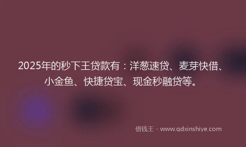 2025年的秒下王贷款有：洋葱速贷、麦芽快借、小金鱼、快捷贷宝、现金秒融贷等。