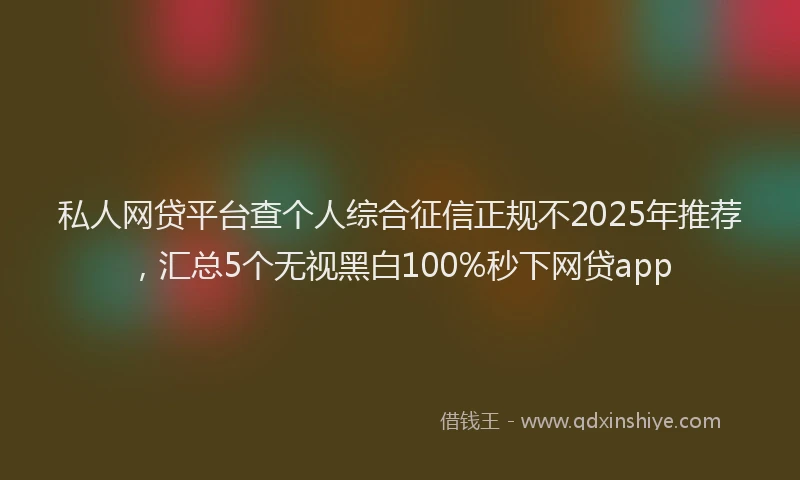 私人网贷平台查个人综合征信正规不2025年推荐，汇总5个无视黑白100%秒下网贷app