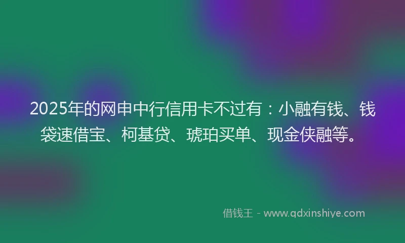 2025年的网申中行信用卡不过有：小融有钱、钱袋速借宝、柯基贷、琥珀买单、现金侠融等。