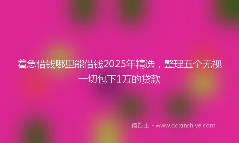 着急借钱哪里能借钱2025年精选，整理五个无视一切包下1万的贷款