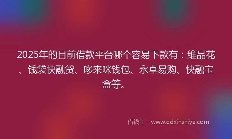 2025年的目前借款平台哪个容易下款有：维品花、钱袋快融贷、哆来咪钱包、永卓易购、快融宝盒等。