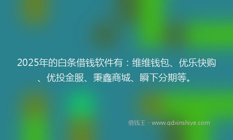 2025年的白条借钱软件有：维维钱包、优乐快购、优投金服、秉鑫商城、瞬下分期等。