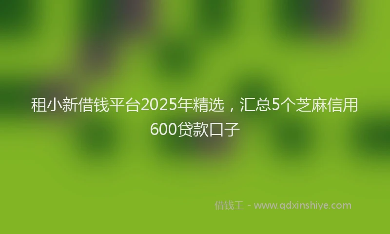 租小新借钱平台2025年精选，汇总5个芝麻信用600贷款口子