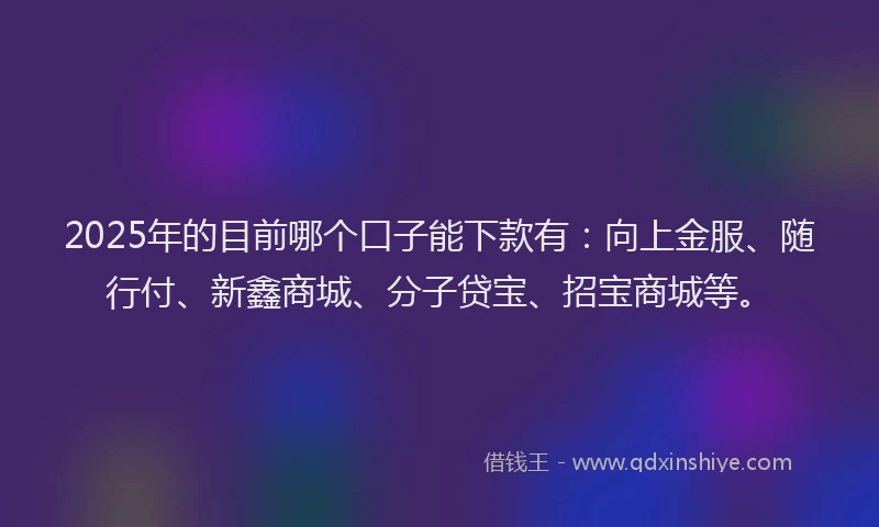 2025年的目前哪个口子能下款有：向上金服、随行付、新鑫商城、分子贷宝、招宝商城等。