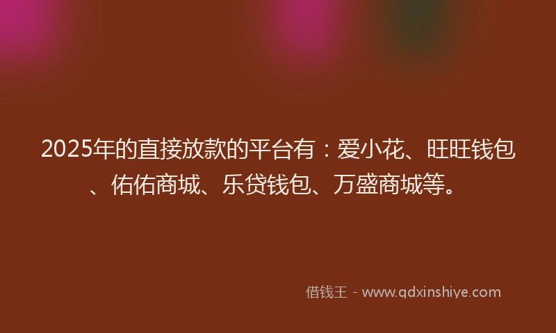 2025年的直接放款的平台有：爱小花、旺旺钱包、佑佑商城、乐贷钱包、万盛商城等。