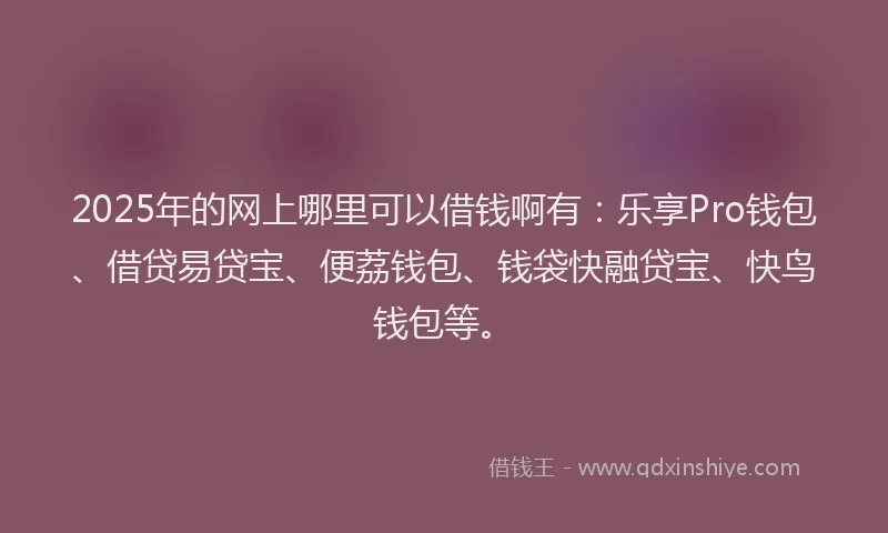 2025年的网上哪里可以借钱啊有：乐享Pro钱包、借贷易贷宝、便荔钱包、钱袋快融贷宝、快鸟钱包等。