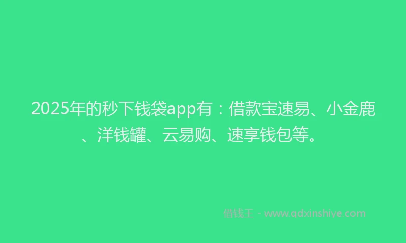 2025年的秒下钱袋app有：借款宝速易、小金鹿、洋钱罐、云易购、速享钱包等。