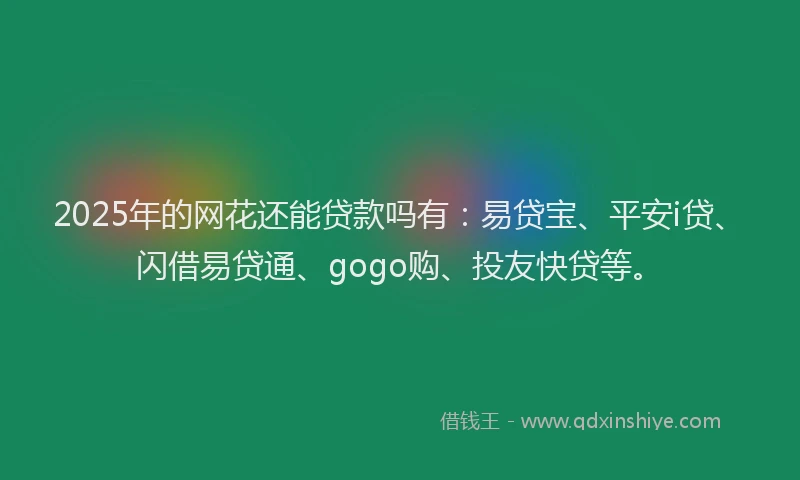 2025年的网花还能贷款吗有：易贷宝、平安i贷、闪借易贷通、gogo购、投友快贷等。