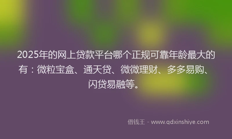 2025年的网上贷款平台哪个正规可靠年龄最大的有：微粒宝盒、通天贷、微微理财、多多易购、闪贷易融等。