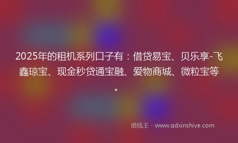 2025年的租机系列口子有：借贷易宝、贝乐享-飞鑫琼宝、现金秒贷通宝融、爱物商城、微粒宝等。