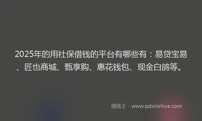 2025年的用社保借钱的平台有哪些有：易贷宝易、匠也商城、甄享购、惠花钱包、现金白鸽等。