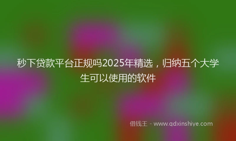 秒下贷款平台正规吗2025年精选，归纳五个大学生可以使用的软件