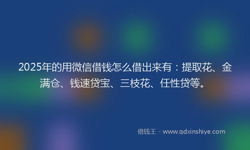 2025年的用微信借钱怎么借出来有：提取花、金满仓、钱速贷宝、三枝花、任性贷等。