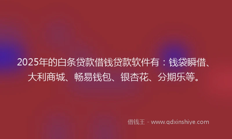 2025年的白条贷款借钱贷款软件有：钱袋瞬借、大利商城、畅易钱包、银杏花、分期乐等。