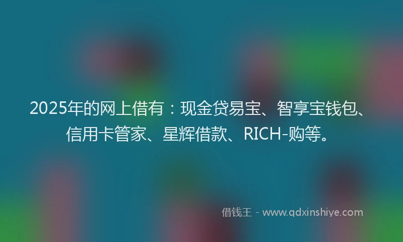2025年的网上借有：现金贷易宝、智享宝钱包、信用卡管家、星辉借款、RICH-购等。