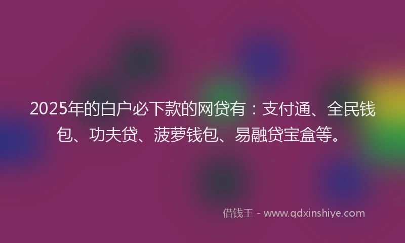 2025年的白户必下款的网贷有：支付通、全民钱包、功夫贷、菠萝钱包、易融贷宝盒等。