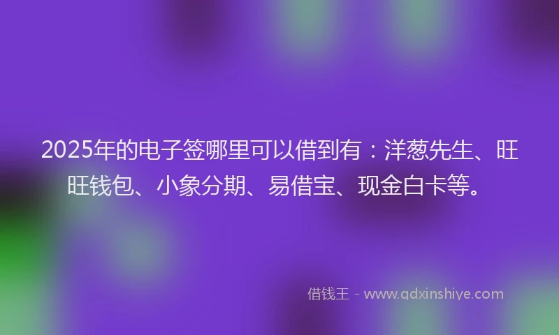 2025年的电子签哪里可以借到有：洋葱先生、旺旺钱包、小象分期、易借宝、现金白卡等。