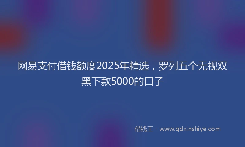 网易支付借钱额度2025年精选，罗列五个无视双黑下款5000的口子