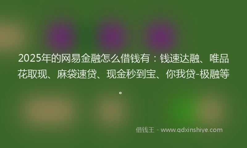 2025年的网易金融怎么借钱有：钱速达融、唯品花取现、麻袋速贷、现金秒到宝、你我贷-极融等。