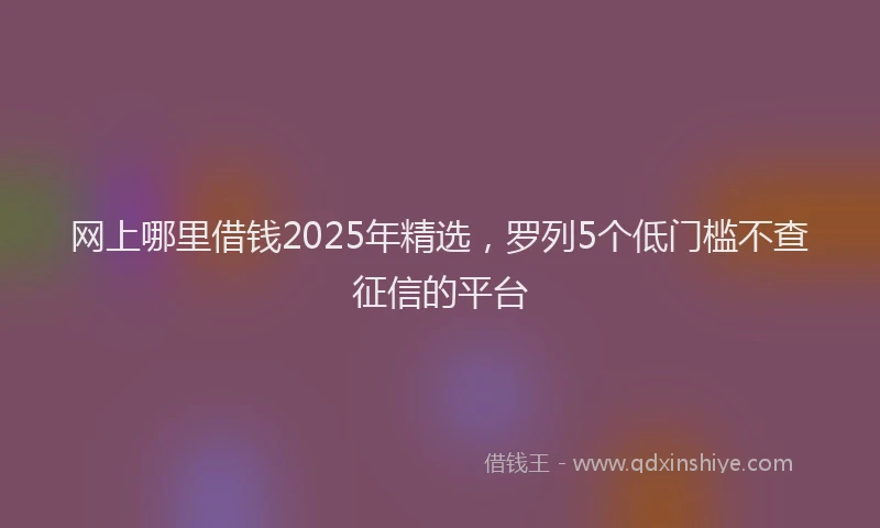 网上哪里借钱2025年精选，罗列5个低门槛不查征信的平台