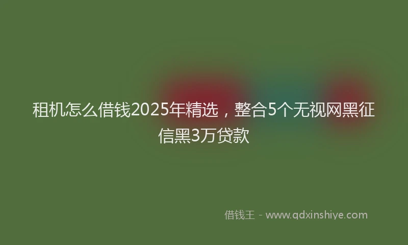 租机怎么借钱2025年精选，整合5个无视网黑征信黑3万贷款