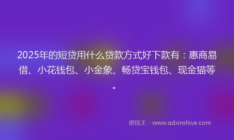 2025年的短贷用什么贷款方式好下款有：惠商易借、小花钱包、小金象、畅贷宝钱包、现金猫等。