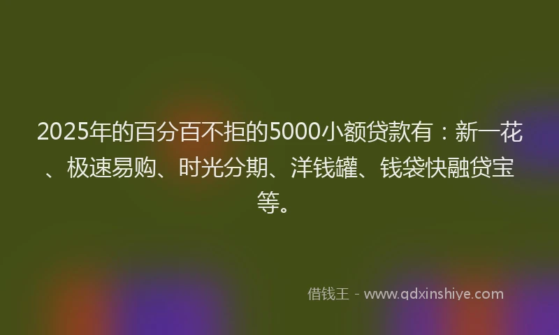 2025年的百分百不拒的5000小额贷款有：新一花、极速易购、时光分期、洋钱罐、钱袋快融贷宝等。