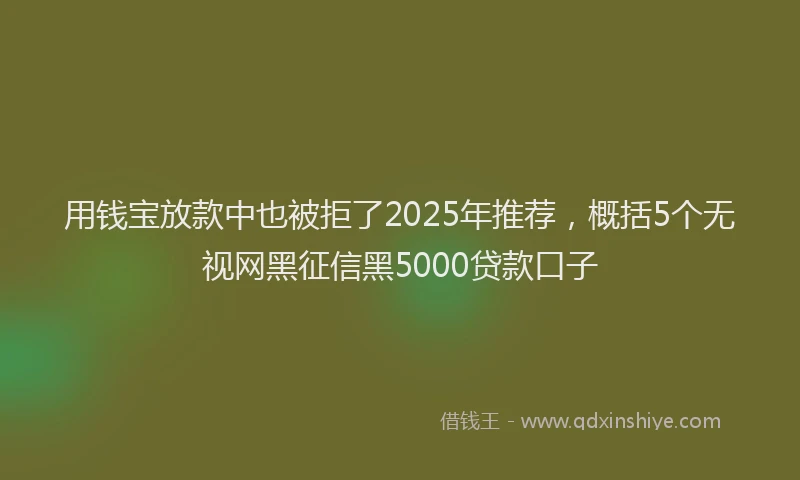 用钱宝放款中也被拒了2025年推荐，概括5个无视网黑征信黑5000贷款口子