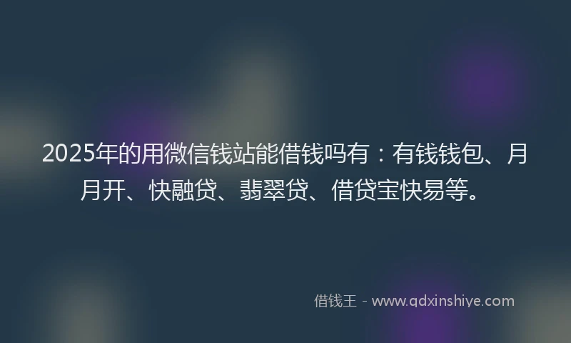 2025年的用微信钱站能借钱吗有：有钱钱包、月月开、快融贷、翡翠贷、借贷宝快易等。