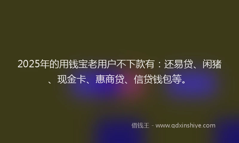 2025年的用钱宝老用户不下款有：还易贷、闲猪、现金卡、惠商贷、信贷钱包等。