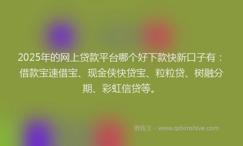 2025年的网上贷款平台哪个好下款快新口子有：借款宝速借宝、现金侠快贷宝、粒粒贷、树融分期、彩虹信贷等。