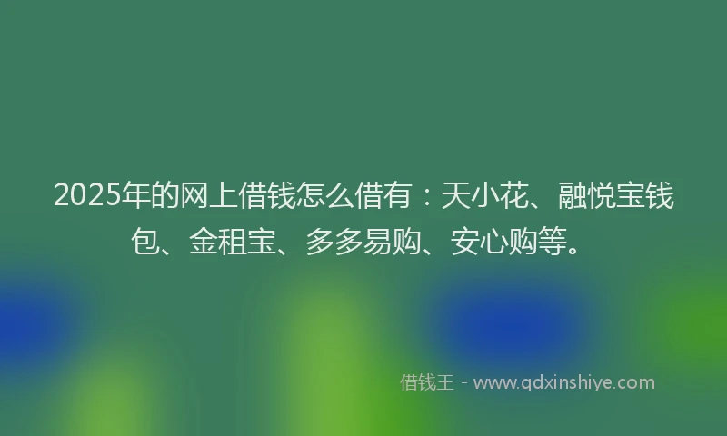 2025年的网上借钱怎么借有：天小花、融悦宝钱包、金租宝、多多易购、安心购等。