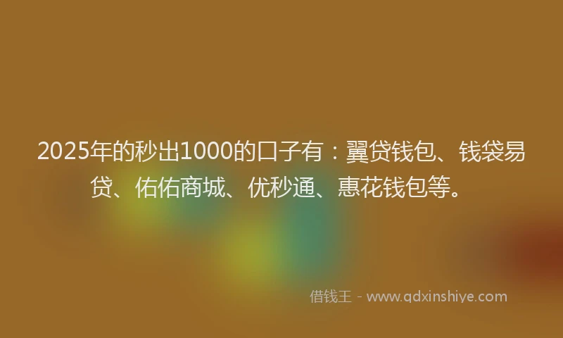 2025年的秒出1000的口子有：翼贷钱包、钱袋易贷、佑佑商城、优秒通、惠花钱包等。