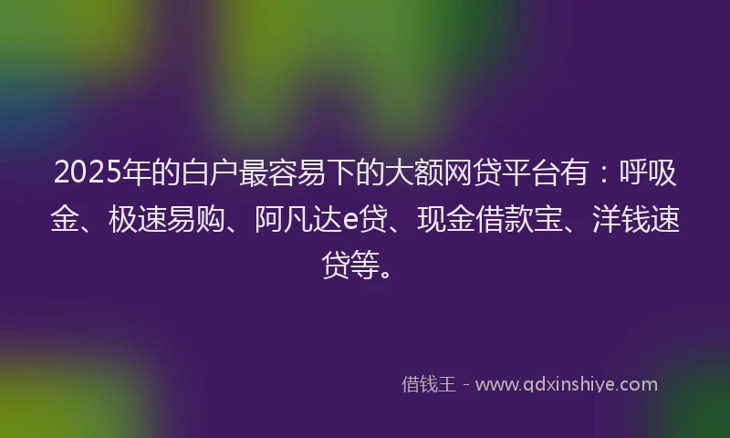 2025年的白户最容易下的大额网贷平台有：呼吸金、极速易购、阿凡达e贷、现金借款宝、洋钱速贷等。