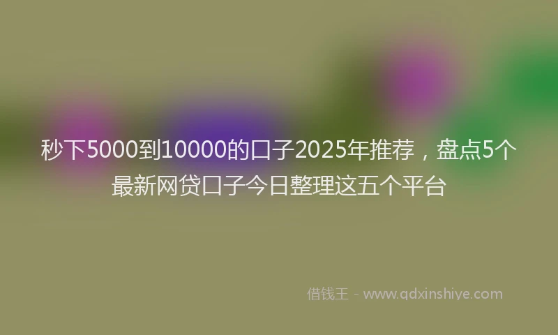 秒下5000到10000的口子2025年推荐，盘点5个最新网贷口子今日整理这五个平台
