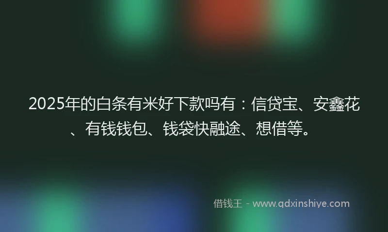 2025年的白条有米好下款吗有：信贷宝、安鑫花、有钱钱包、钱袋快融途、想借等。