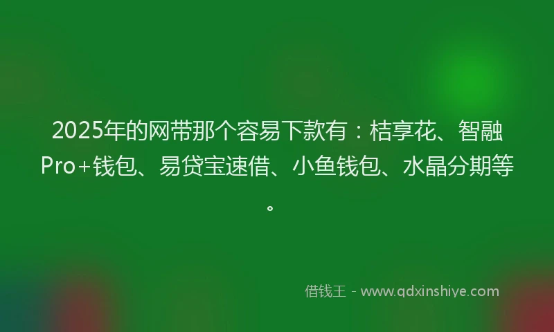 2025年的网带那个容易下款有：桔享花、智融Pro+钱包、易贷宝速借、小鱼钱包、水晶分期等。