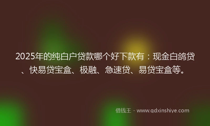 2025年的纯白户贷款哪个好下款有：现金白鸽贷、快易贷宝盒、极融、急速贷、易贷宝盒等。