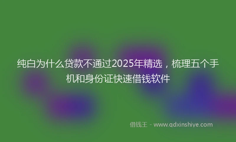 纯白为什么贷款不通过2025年精选，梳理五个手机和身份证快速借钱软件