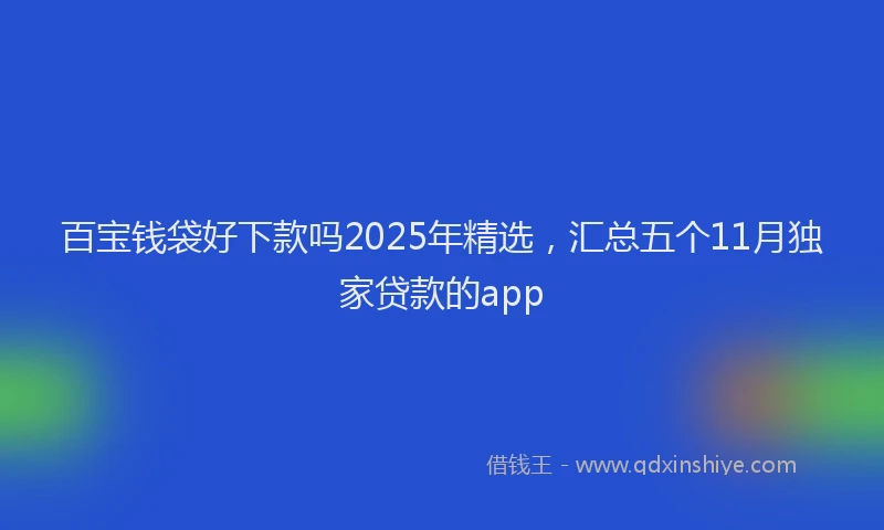 百宝钱袋好下款吗2025年精选，汇总五个11月独家贷款的app