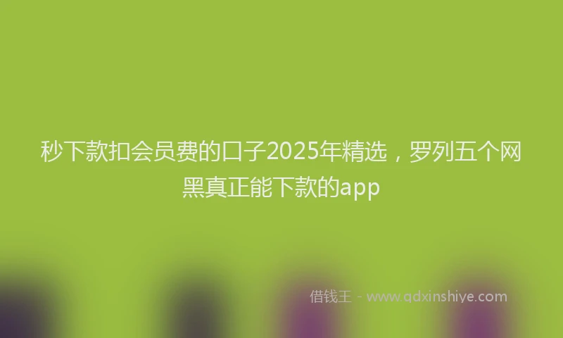 秒下款扣会员费的口子2025年精选，罗列五个网黑真正能下款的app