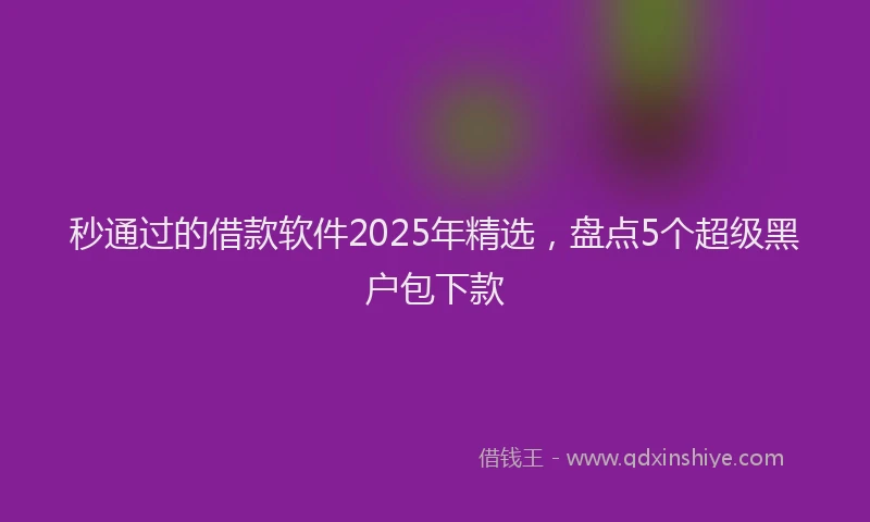 秒通过的借款软件2025年精选，盘点5个超级黑户包下款