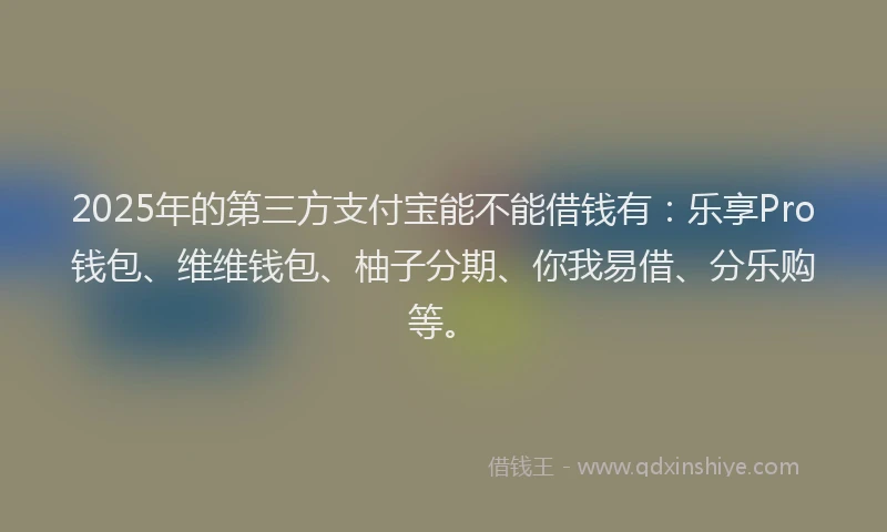 2025年的第三方支付宝能不能借钱有：乐享Pro钱包、维维钱包、柚子分期、你我易借、分乐购等。