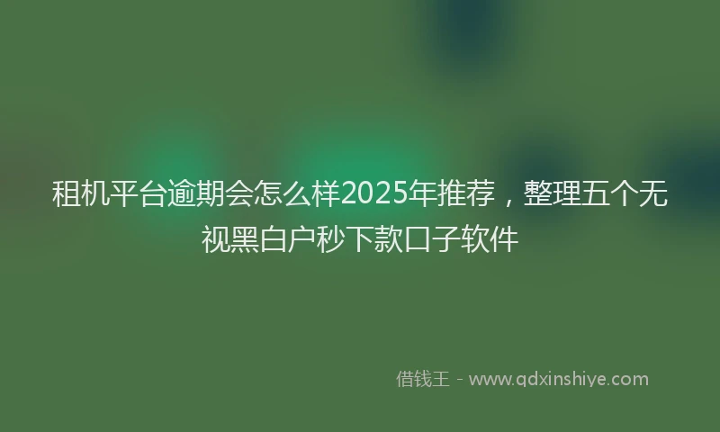 租机平台逾期会怎么样2025年推荐，整理五个无视黑白户秒下款口子软件