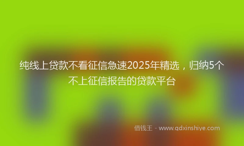 纯线上贷款不看征信急速2025年精选，归纳5个不上征信报告的贷款平台