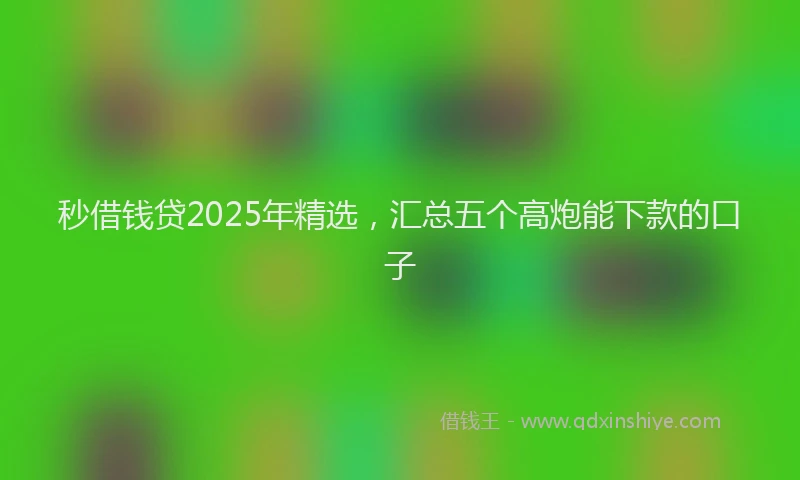 秒借钱贷2025年精选，汇总五个高炮能下款的口子